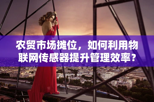 农贸市场摊位，如何利用物联网传感器提升管理效率？