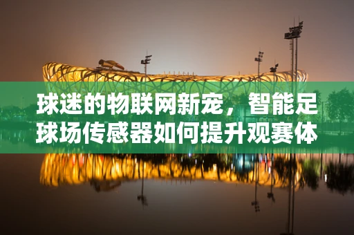 球迷的物联网新宠，智能足球场传感器如何提升观赛体验？