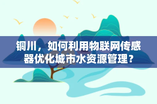 铜川，如何利用物联网传感器优化城市水资源管理？