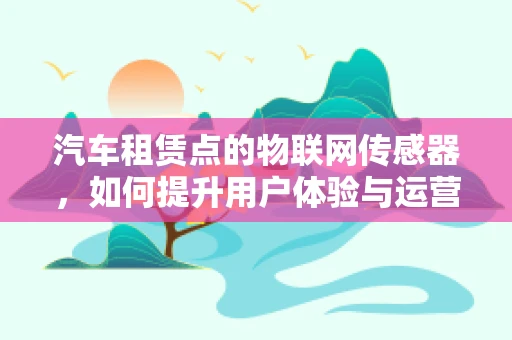 汽车租赁点的物联网传感器，如何提升用户体验与运营效率？