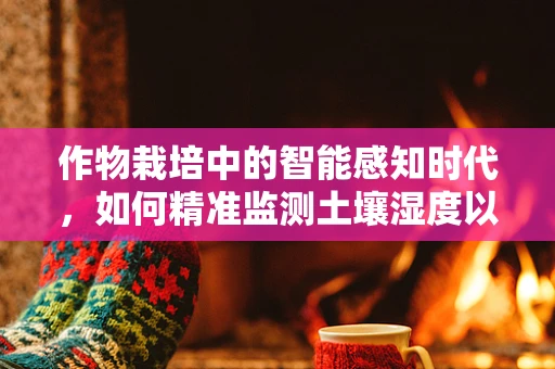 作物栽培中的智能感知时代，如何精准监测土壤湿度以优化灌溉？