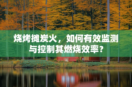 烧烤摊炭火，如何有效监测与控制其燃烧效率？