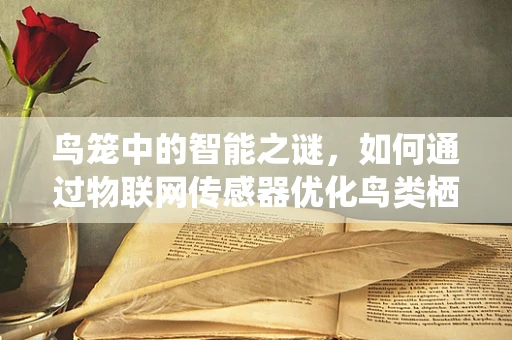 鸟笼中的智能之谜，如何通过物联网传感器优化鸟类栖息环境？