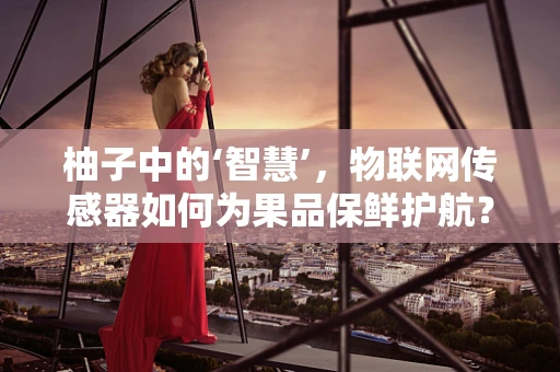 柚子中的‘智慧’，物联网传感器如何为果品保鲜护航？