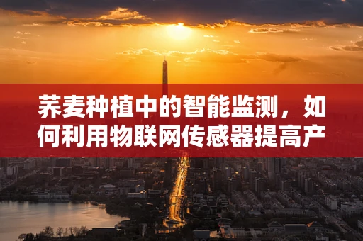 荞麦种植中的智能监测，如何利用物联网传感器提高产量？