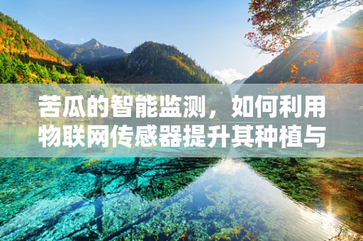 苦瓜的智能监测，如何利用物联网传感器提升其种植与保鲜的效率？
