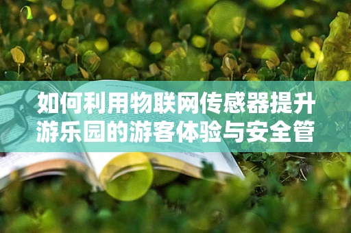 如何利用物联网传感器提升游乐园的游客体验与安全管理？