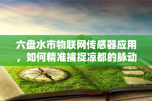 六盘水市物联网传感器应用，如何精准捕捉凉都的脉动？