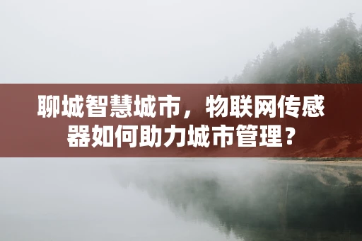 聊城智慧城市，物联网传感器如何助力城市管理？