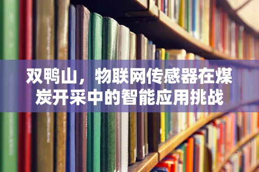 双鸭山，物联网传感器在煤炭开采中的智能应用挑战