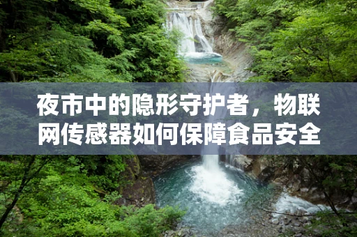 夜市中的隐形守护者，物联网传感器如何保障食品安全与卫生？