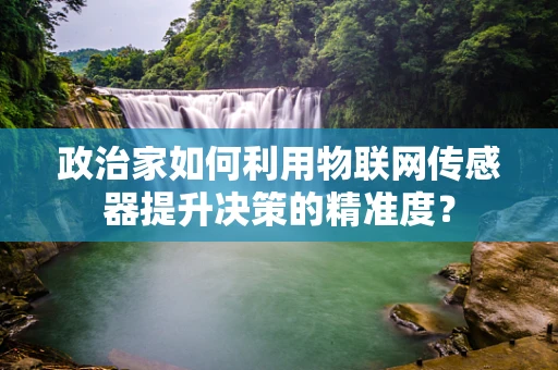 政治家如何利用物联网传感器提升决策的精准度？