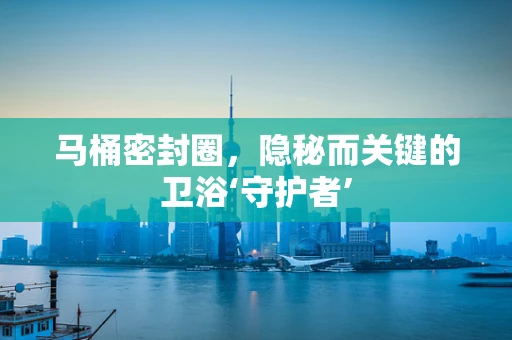 马桶密封圈，隐秘而关键的卫浴‘守护者’