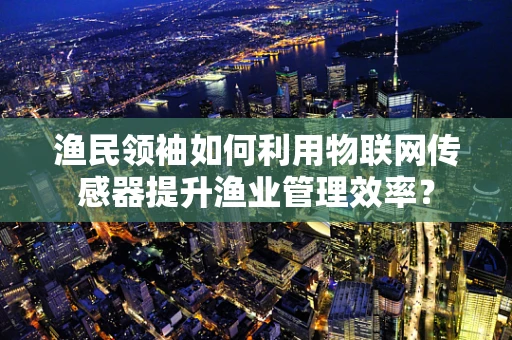 渔民领袖如何利用物联网传感器提升渔业管理效率？