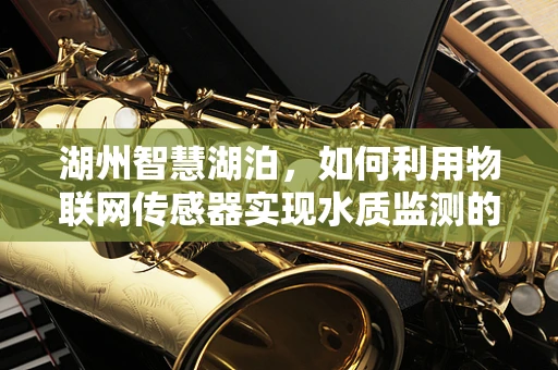 湖州智慧湖泊，如何利用物联网传感器实现水质监测的精准化？