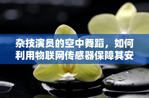 杂技演员的空中舞蹈，如何利用物联网传感器保障其安全与健康？