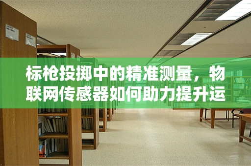 标枪投掷中的精准测量，物联网传感器如何助力提升运动员表现？