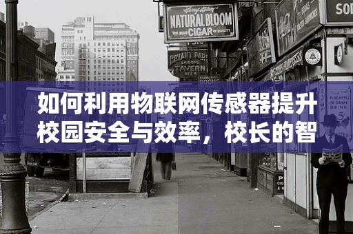 如何利用物联网传感器提升校园安全与效率，校长的智慧之问