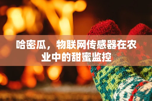 哈密瓜，物联网传感器在农业中的甜蜜监控