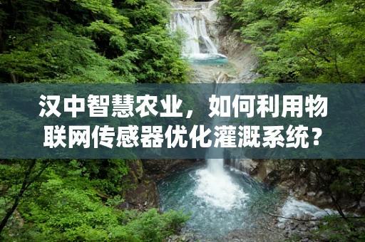 汉中智慧农业，如何利用物联网传感器优化灌溉系统？