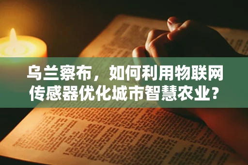 乌兰察布，如何利用物联网传感器优化城市智慧农业？