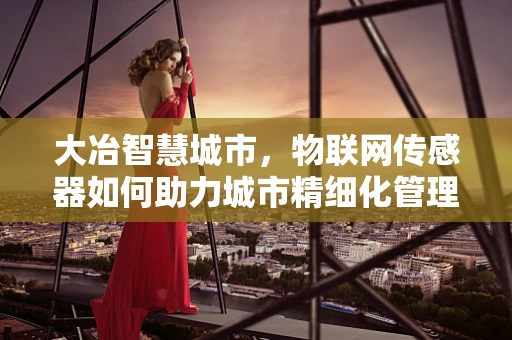 大冶智慧城市，物联网传感器如何助力城市精细化管理？