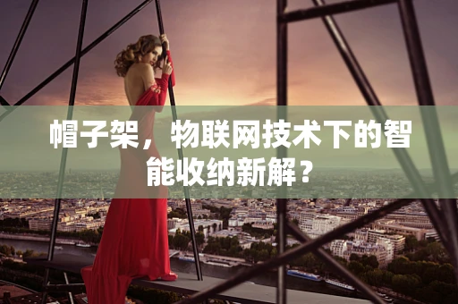帽子架，物联网技术下的智能收纳新解？