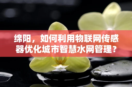 绵阳，如何利用物联网传感器优化城市智慧水网管理？