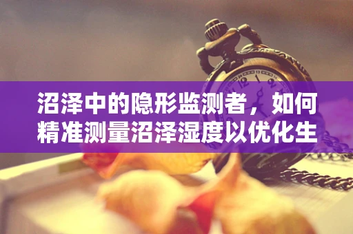 沼泽中的隐形监测者，如何精准测量沼泽湿度以优化生态管理？