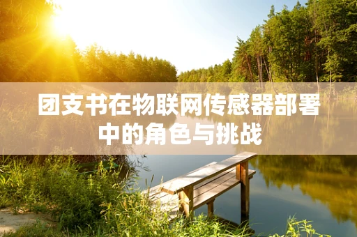 团支书在物联网传感器部署中的角色与挑战
