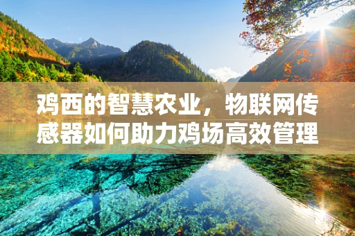 鸡西的智慧农业，物联网传感器如何助力鸡场高效管理？