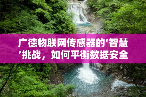 广德物联网传感器的‘智慧’挑战，如何平衡数据安全与区域发展？