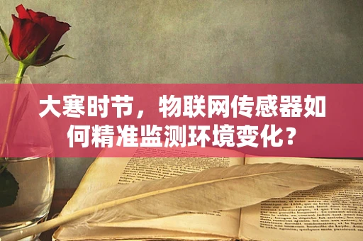 大寒时节，物联网传感器如何精准监测环境变化？