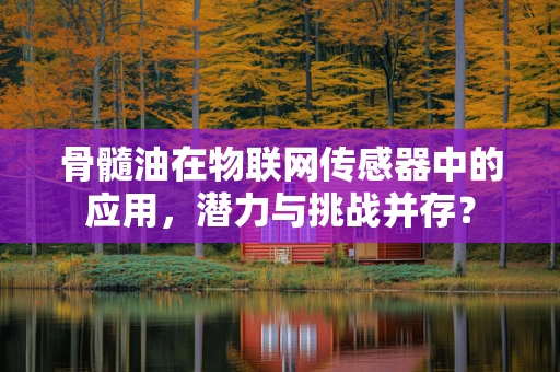 骨髓油在物联网传感器中的应用，潜力与挑战并存？