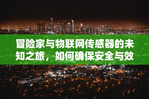 冒险家与物联网传感器的未知之旅，如何确保安全与效率？