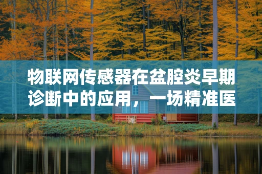 物联网传感器在盆腔炎早期诊断中的应用，一场精准医疗的革命？