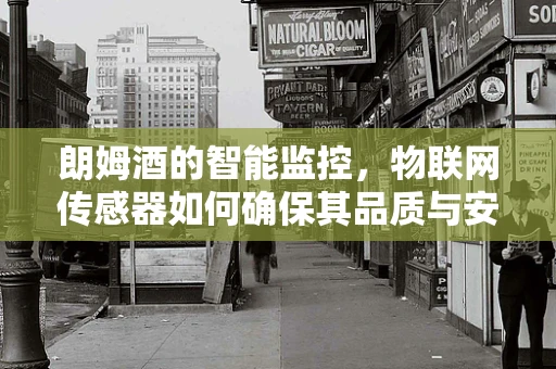 朗姆酒的智能监控，物联网传感器如何确保其品质与安全？