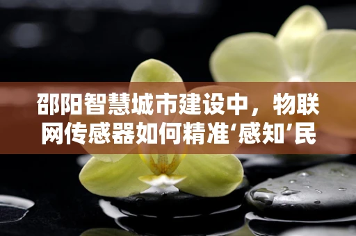 邵阳智慧城市建设中，物联网传感器如何精准‘感知’民生需求？