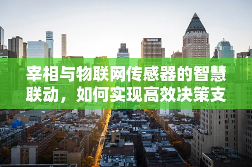 宰相与物联网传感器的智慧联动，如何实现高效决策支持？