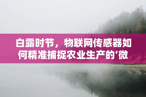 白露时节，物联网传感器如何精准捕捉农业生产的‘微妙变化’？
