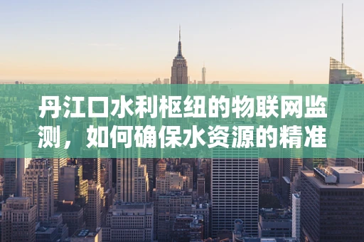丹江口水利枢纽的物联网监测，如何确保水资源的精准管理？