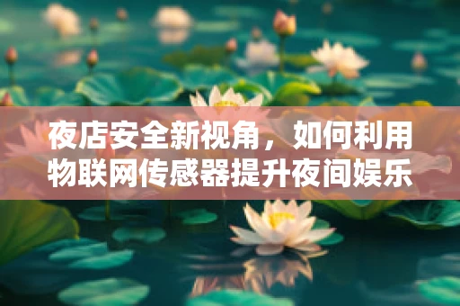夜店安全新视角，如何利用物联网传感器提升夜间娱乐环境？