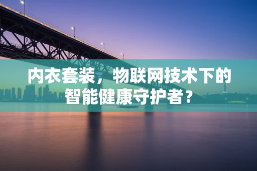 内衣套装，物联网技术下的智能健康守护者？