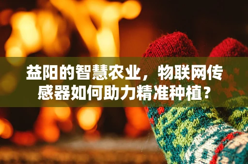 益阳的智慧农业，物联网传感器如何助力精准种植？