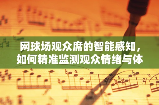 网球场观众席的智能感知，如何精准监测观众情绪与体验？