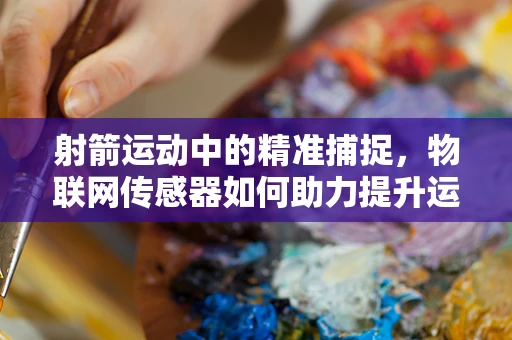 射箭运动中的精准捕捉，物联网传感器如何助力提升运动员表现？