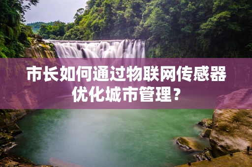 市长如何通过物联网传感器优化城市管理？