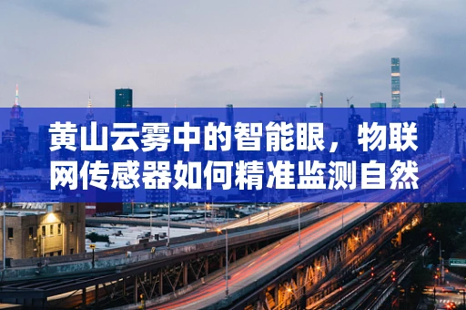 黄山云雾中的智能眼，物联网传感器如何精准监测自然奇观？