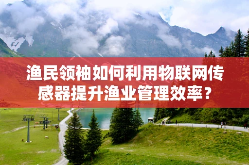 渔民领袖如何利用物联网传感器提升渔业管理效率？