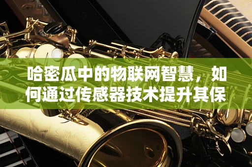 哈密瓜中的物联网智慧，如何通过传感器技术提升其保鲜与安全？